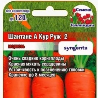 Морковь ШАНТАНЭ А КУР РУЖ 2 (500 шт)